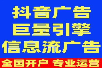 谷歌竞价广告的投放策略与成功案例分析